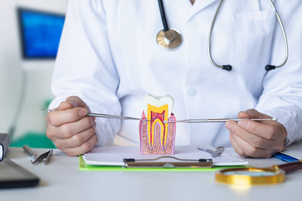 Best Broken or Cracked Tooth Emergency Dentist in Valdese, NC